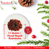 11 Faced / Mukhi Nepali Rudraksha Beads collector